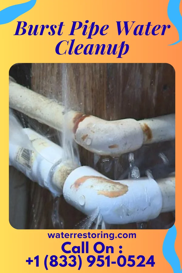 Burst Pipe Water Cleanup in Sidon, MS