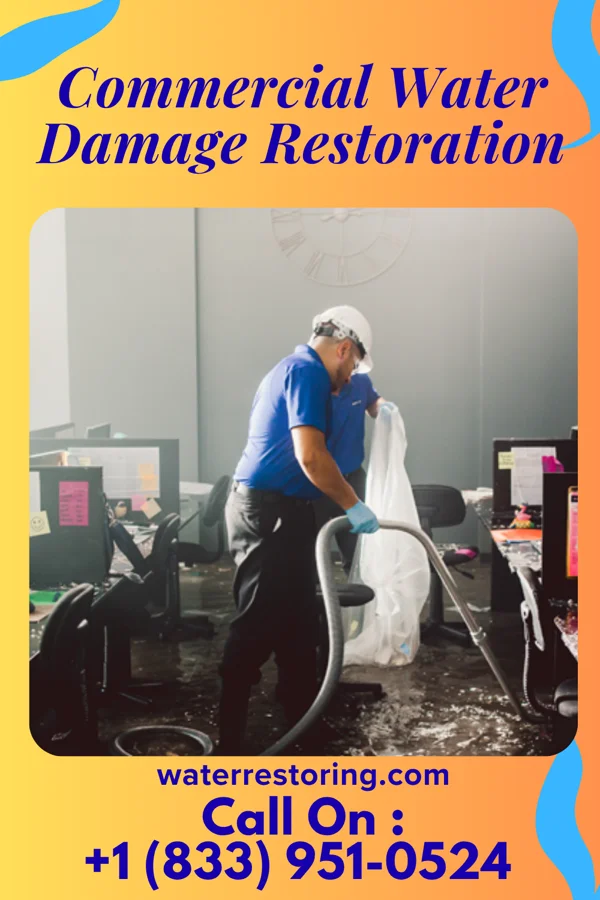 Commercial Water Damage Restoration in Sidon, MS