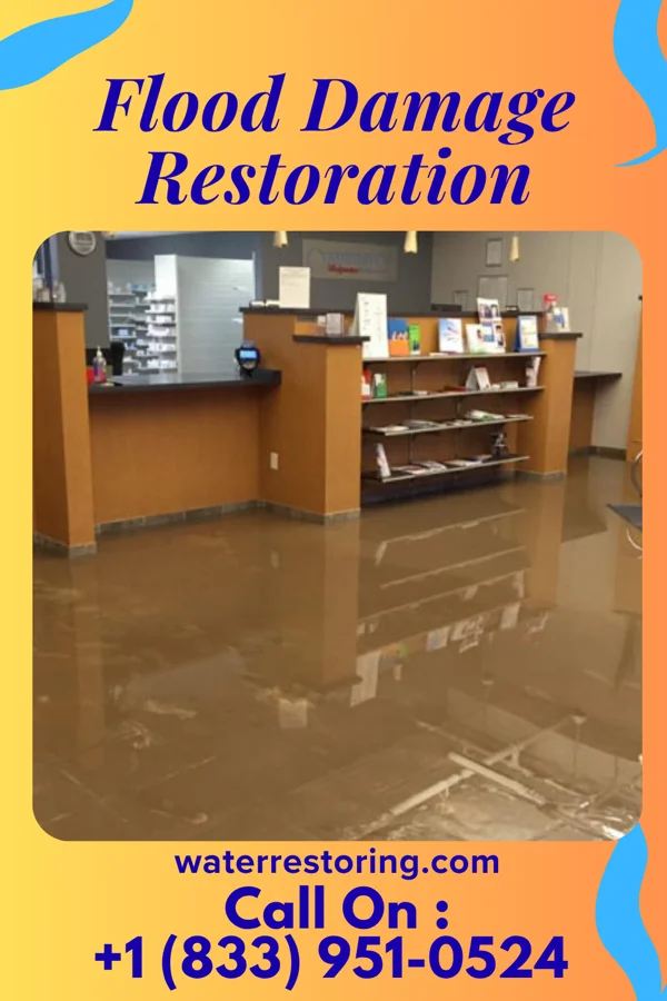Flood Damage Restoration in Sidon, MS