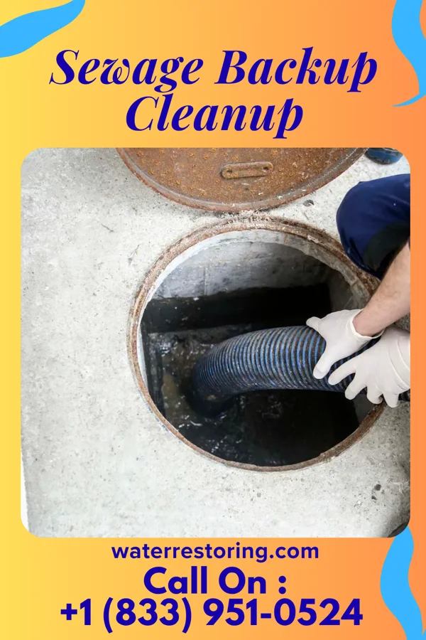 Sewage Backup Cleanup in Sidon, MS