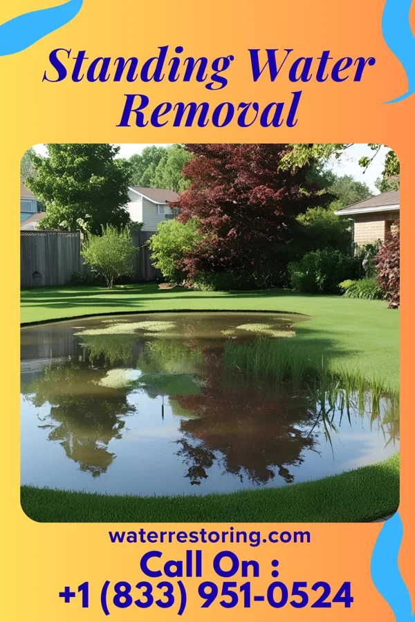 Standing Water Removal in Sidon, MS